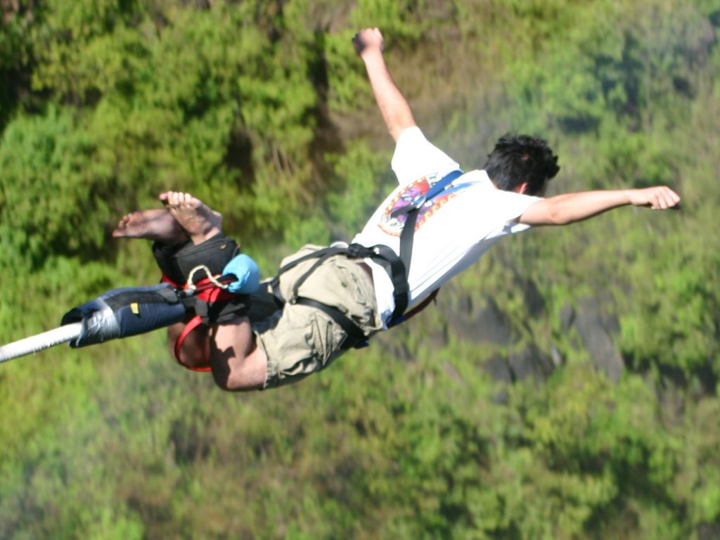 bungee