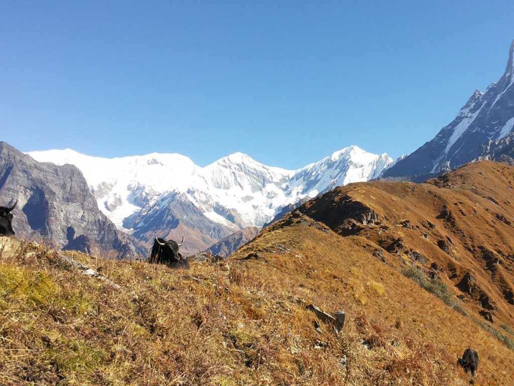 mardi-himal-trekking