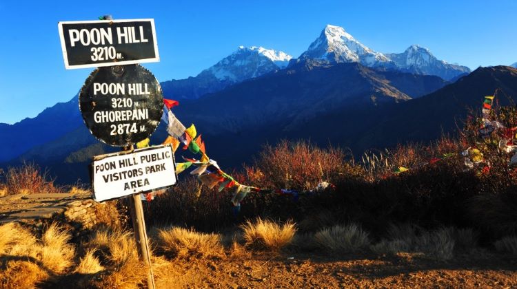 14 days In Nepal -Poonhill trek and City tour