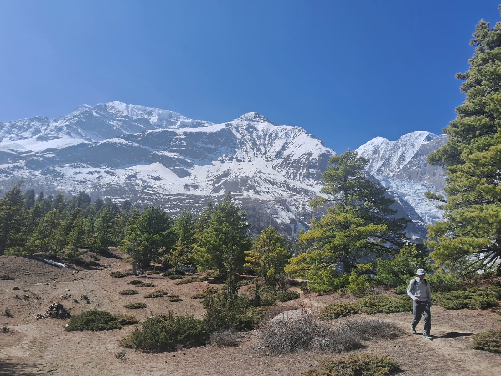 Acclimatization day Manang