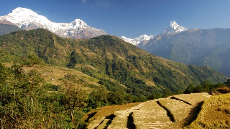 Annapurna Panorama Trek