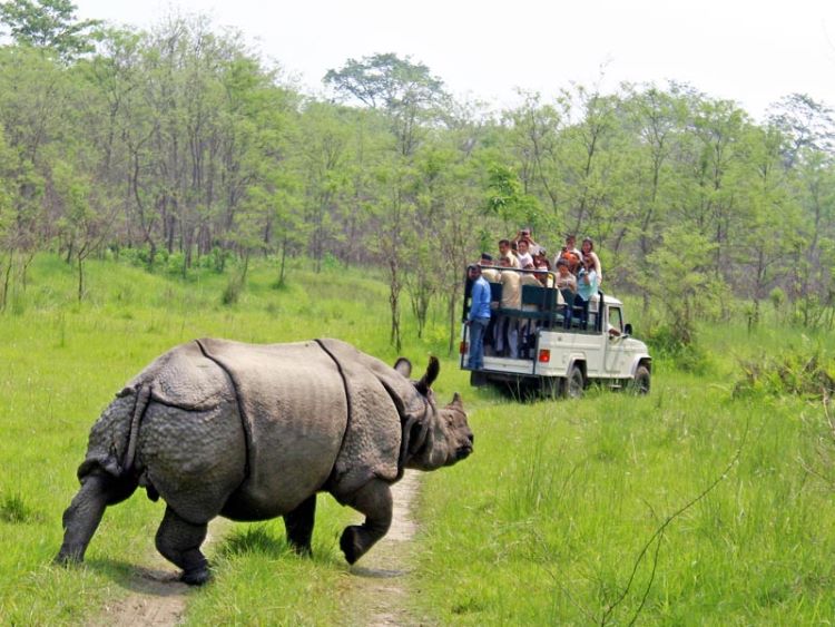 Chitwan Natinal Park