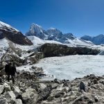 Everest Base Camp Trek Travel Insurance