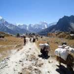 Everest Base camp Trek Packages your Choice