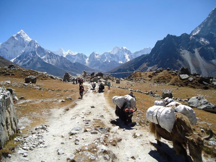 Everest Base camp Trek Packages your Choice
