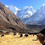 Kanchenjunga Base camp trek cost