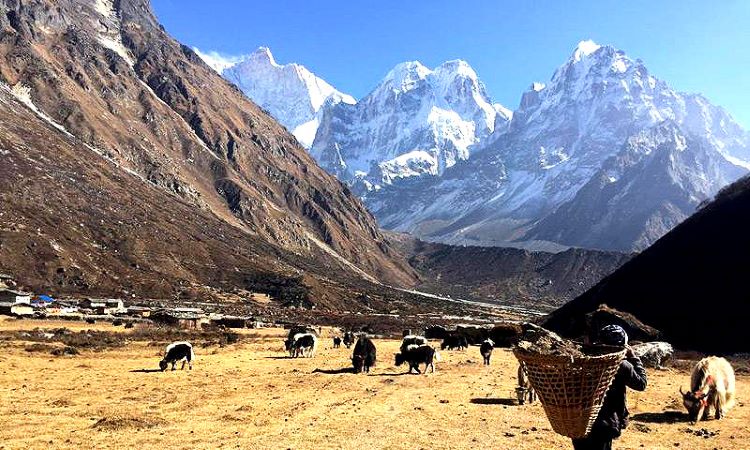 kanchenjunga trek cost in india