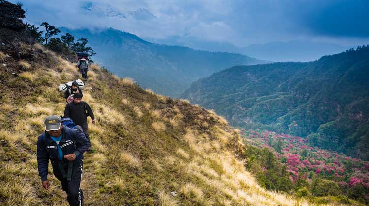 Kopra-Ridge-trek Kopra Ridge Trekking