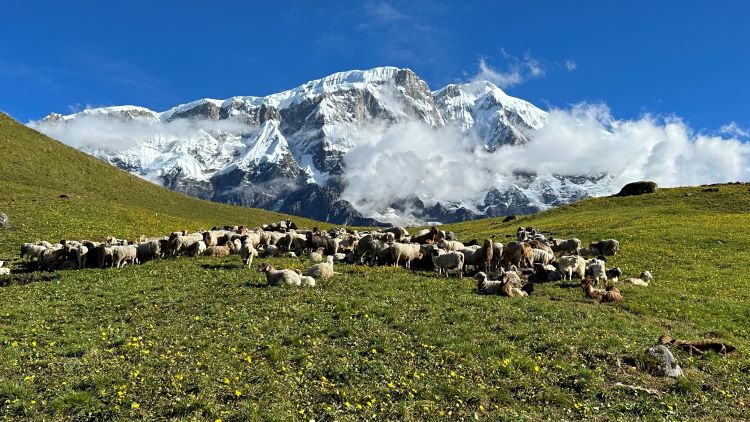 Kori Trek, Nepal 7 days Kori Trek
