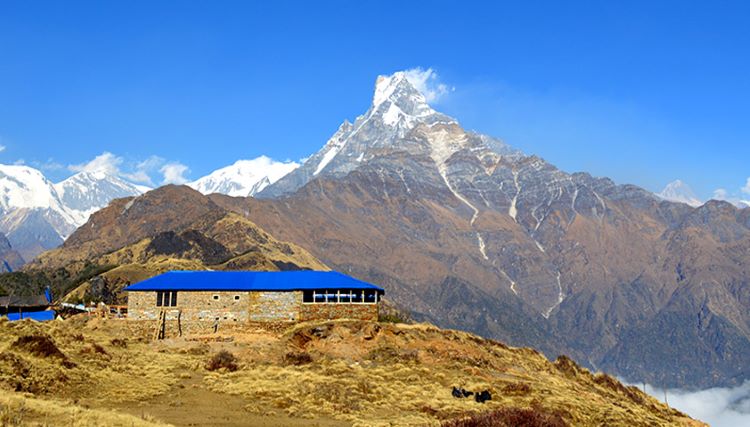Mardi Himal Trek Accommodation