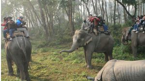 Best of Nepal Tour- 9 Night / 10 Days