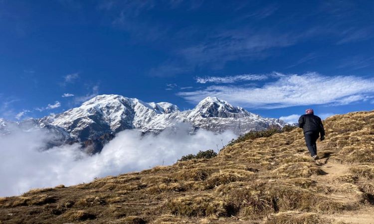 Poon Hill and Mardi Himal Trekking