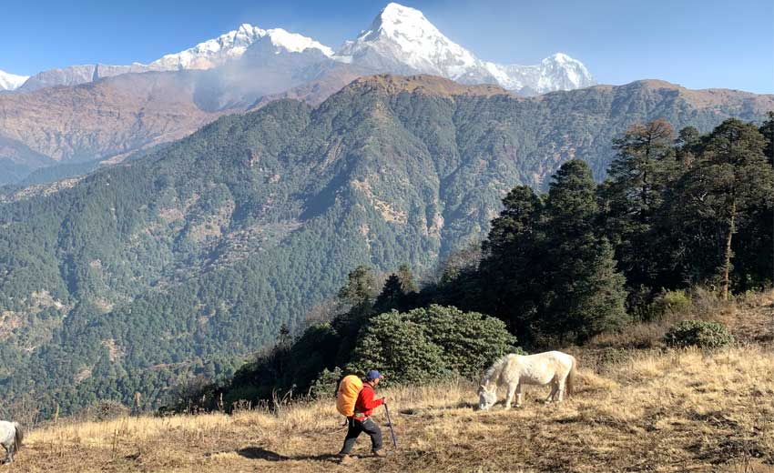 Poonhill Trek