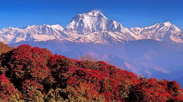 Best time for trekking in Nepal