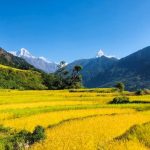 Trekking in Himalaya for beginners Trekking in Himalaya for beginners
