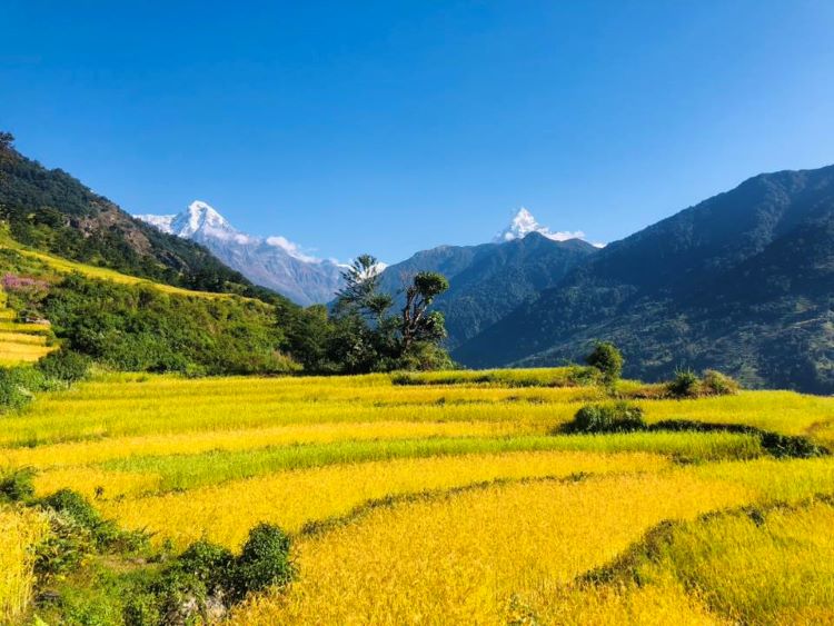 Trekking in Himalaya for beginners Trekking in Himalaya for beginners
