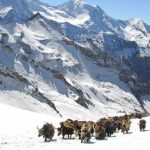 Upper mustang Trekking