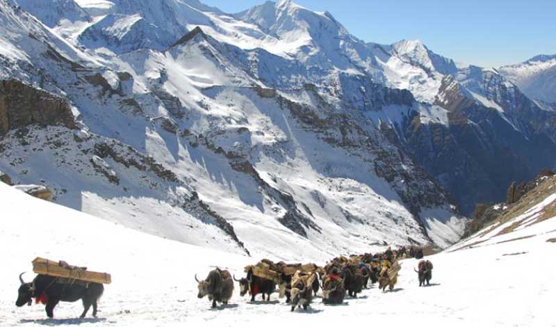 Upper mustang Trekking