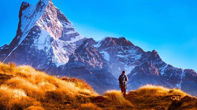 Mardi Himal Trek- Best 5 days Treks In Nepal
