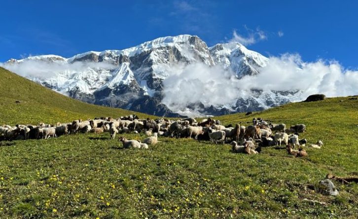 Kori Trek, Nepal 7 days