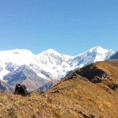 Mardi Himal Trek Mardi Himal Trek