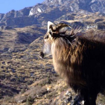 Upper-Dolpo-Trekking