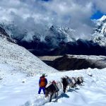 Trekking in Nepal 2026